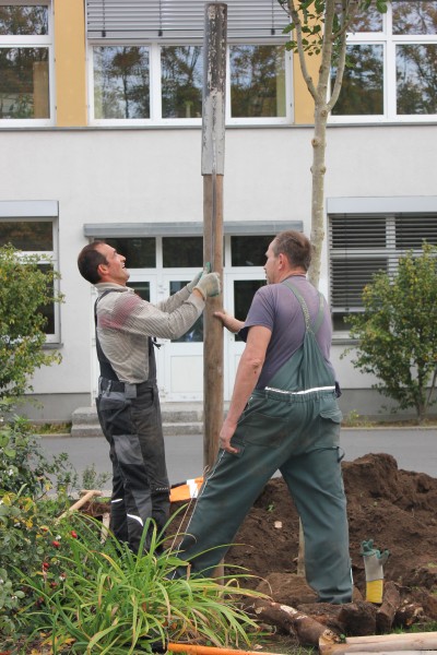 [Bitte einen Namen eingeben]
