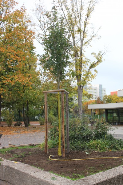 [Bitte einen Namen eingeben]