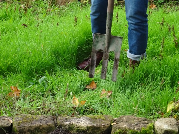 [Bitte einen Namen eingeben]