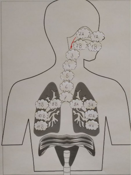 [Bitte einen Namen eingeben]