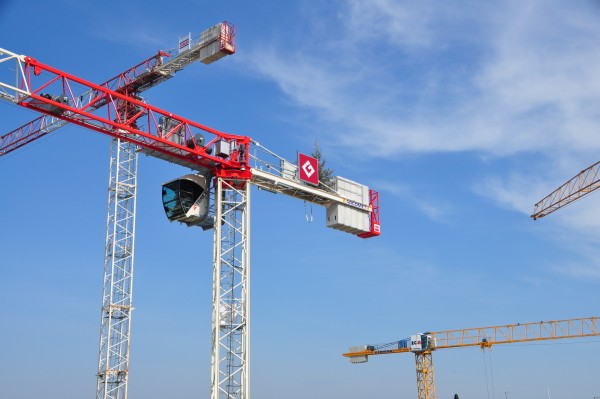 Kräne und Tannenbaum