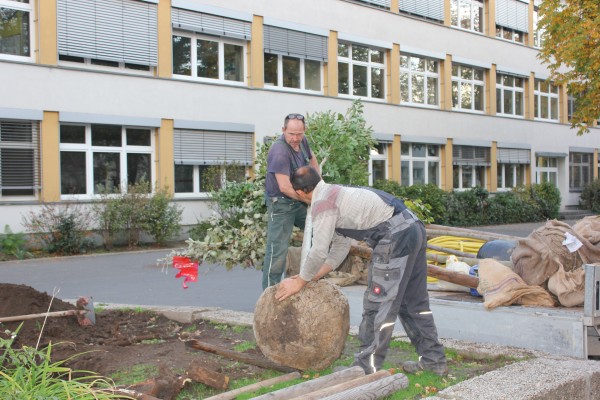 [Bitte einen Namen eingeben]