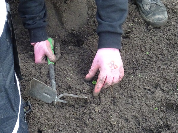[Bitte einen Namen eingeben]