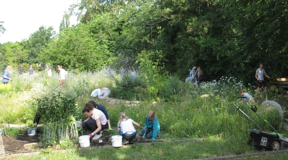 KI generiert: Das Bild zeigt eine Gruppe von Menschen, die in einem üppigen Garten arbeiten und Unkraut jäten. Der Fokus liegt auf gemeinschaftlicher Gartenarbeit in einer grünen, natürlichen Umgebung.