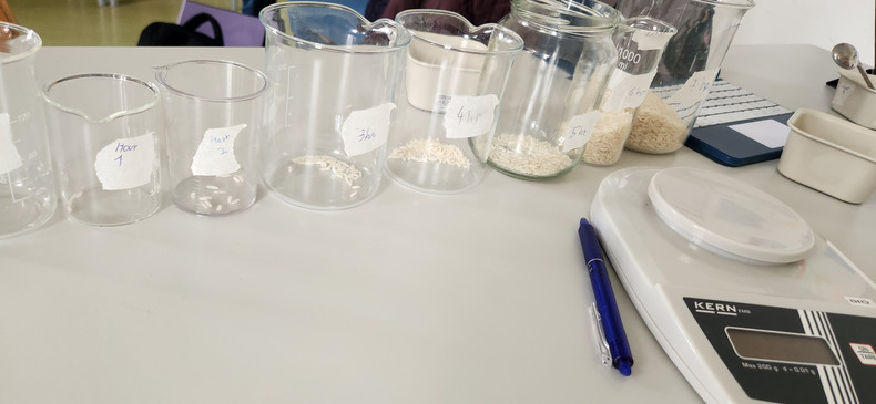 KI generiert: Das Bild zeigt eine Reihe von Bechergläsern und Gläsern mit unterschiedlichen Mengen an Reis, die auf einem Tisch stehen. Daneben befindet sich eine digitale Waage und ein Stift.