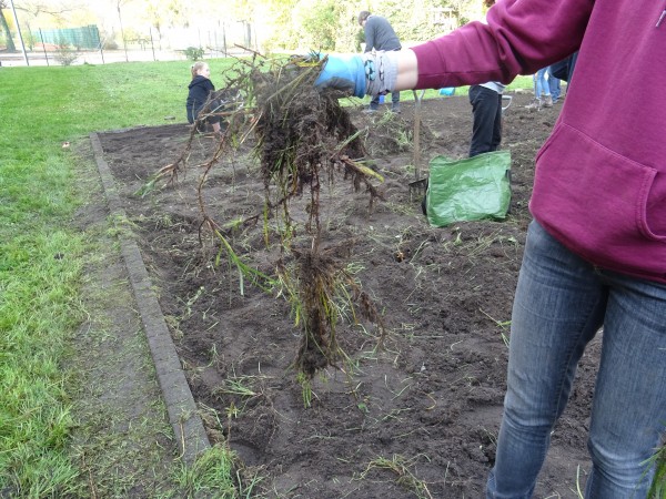 [Bitte einen Namen eingeben]