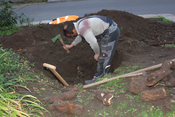 [Bitte einen Namen eingeben]