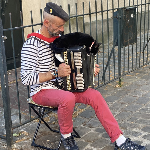 KI generiert: Ein Mann sitzt auf einem Hocker und spielt Akkordeon, während eine schwarz-weiße Katze entspannt auf dem Instrument liegt. Die Szene findet im Freien auf einem gepflasterten Gehweg statt.