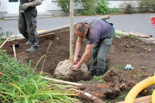 [Bitte einen Namen eingeben]