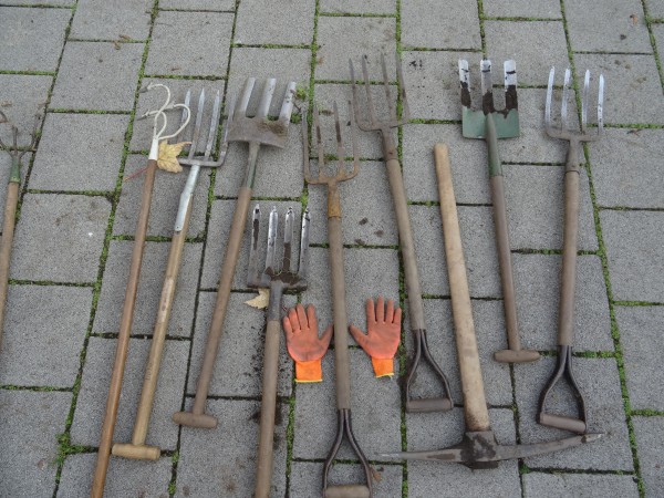 [Bitte einen Namen eingeben]