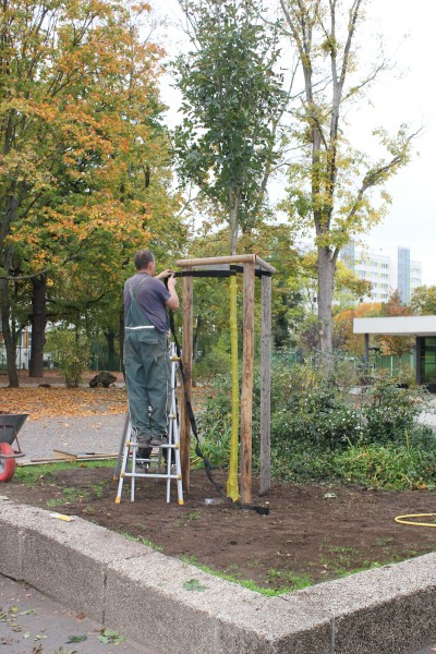 [Bitte einen Namen eingeben]