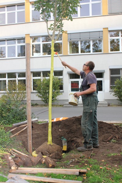 [Bitte einen Namen eingeben]