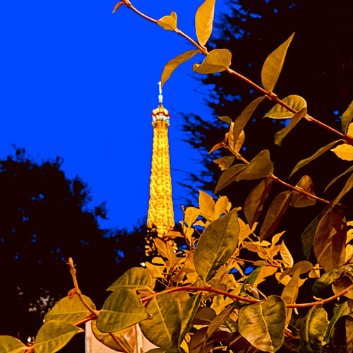 KI generiert: Das Bild zeigt einen Blick auf die Spitze des Eiffelturms, der durch goldene Beleuchtung hervorgehoben wird. Im Vordergrund sind gelblich schimmernde Blätter eines Busches zu sehen, die den Turm teilweise verdecken.