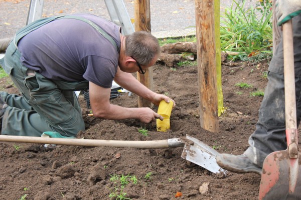 [Bitte einen Namen eingeben]